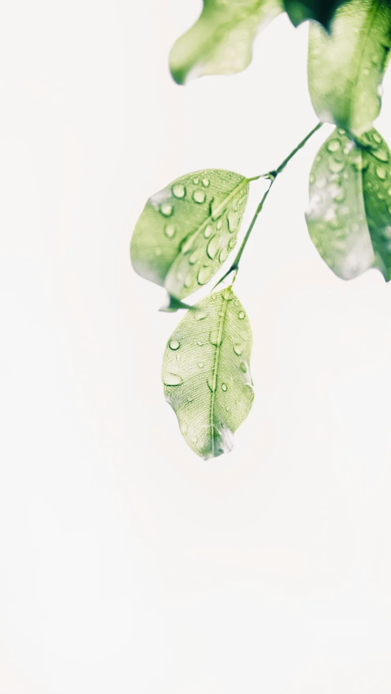 Taking Care of Your Mental Health This Summer (From a Girl Who’s Been There)
